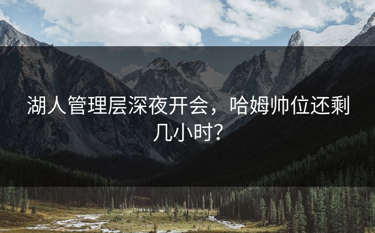 湖人管理层深夜开会，哈姆帅位还剩几小时？